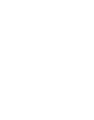 Lion logo